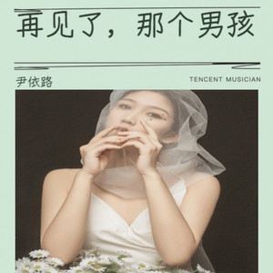 再见了，那个男孩