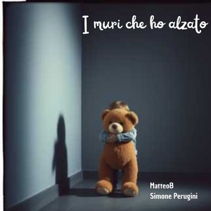 I muri che ho alzato