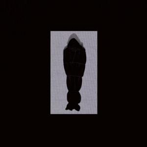 DO NOT RESUSCITATE (feat. knifefvght & Wxlf) (Explicit)