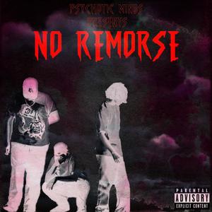 No Remorse (Explicit)