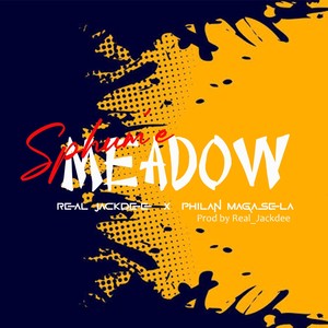Meadow (feat. Philani Magasela)