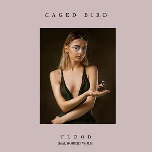 Caged Bird