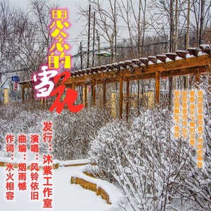 思念的雪花(风铃依旧)女声