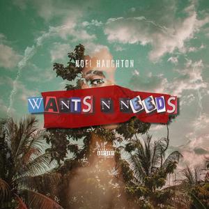 WANTS N NEEDS (Explicit)