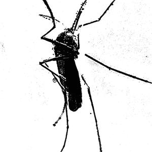 BURR_GMF - Hass_ (feat. FUJIN) (Explicit)