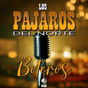 Vuela Paloma