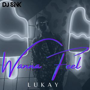 Wanna Feel (feat. Lukay & Eif Keyz)