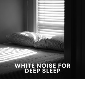 Sleep Therapy Noise