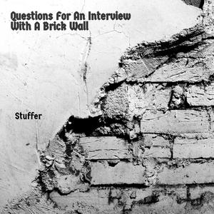 Questions For An Interview With A Brick Wall