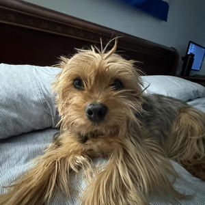 a Blur (feat. FDR) (Explicit)