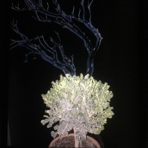 pneumonia (feat. cruelix)