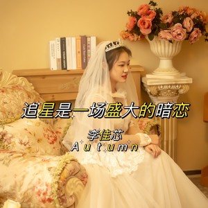 追星是一场盛大的暗恋 (伴奏)