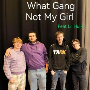 Not My Girl (feat. What Gang Boyband, Lil Hulk & Icy Freeze) [Explicit]