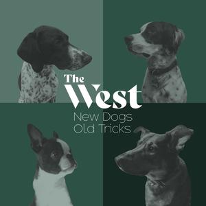 Don't Know How To Feel