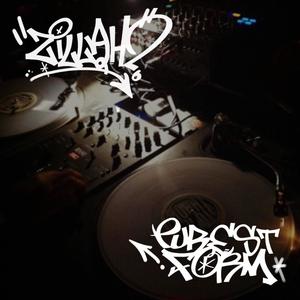 Zillah - That Was Hip-Hop (feat. Donny G) (Explicit)