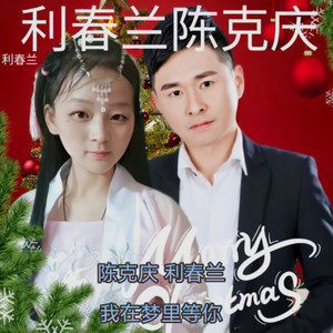 我在梦里等你 (Live)
