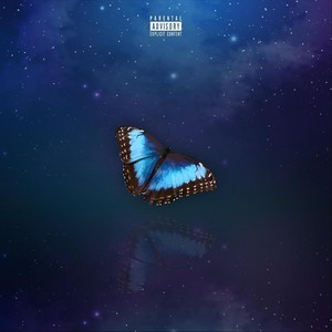 Morpho (Explicit)