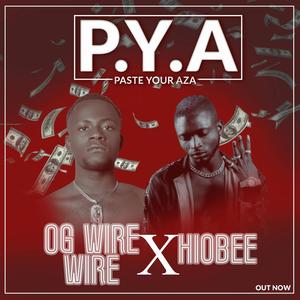 PASTE YOUR AZA(P.Y.A)(feat. HIOBEE)