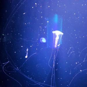 979 (feat. Joaquín Damiani)