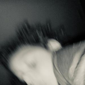 Crazy (feat. The Social Contract & The QualeCall) (Explicit)