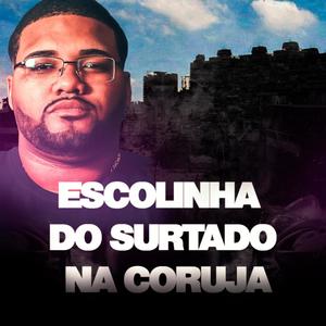 ESCOLINHA DO SURTADO NA CORUJA (DJ ML DA CORUJA Remix) [Explicit]