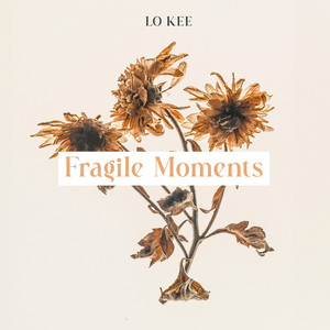 Fragile Moments