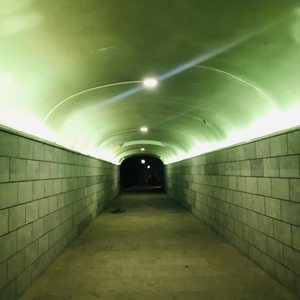 寓言 (翻自 林理惠)