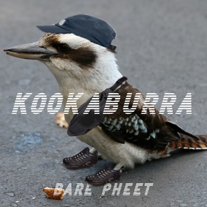 Kookaburra