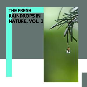 The Fresh Raindrops in Nature, Vol. 3