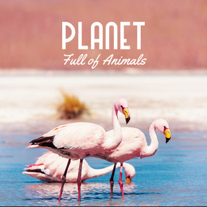 Bird Forest Koh Samui Thailand