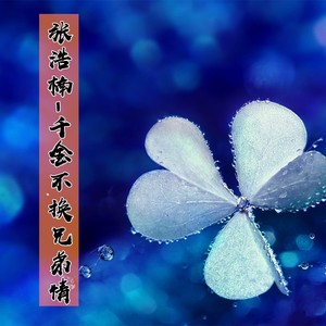 千金不换兄弟情-张浩楠