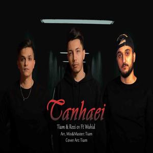 Tanhaei (Rezi01. Wahid) (Explicit)