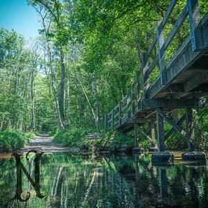 Pulling Teeth (Explicit)