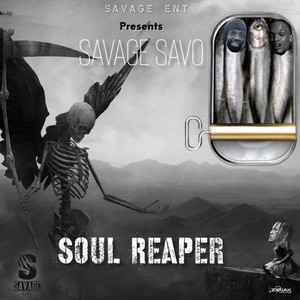 Soul Reaper