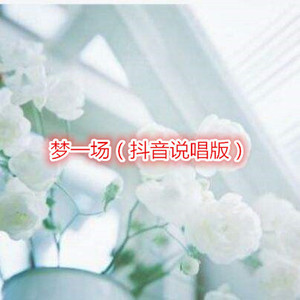 刘丁芸 - 老男孩