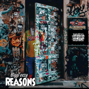 Reasons (Explicit)