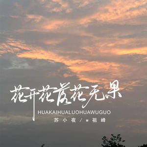 花开花落花无果-苏小夜&W祖峰