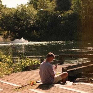 Sunflowers (Explicit)