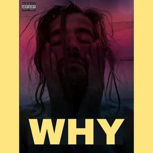 WHY (Explicit)