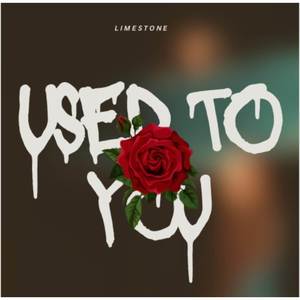 Used to you (Explicit)