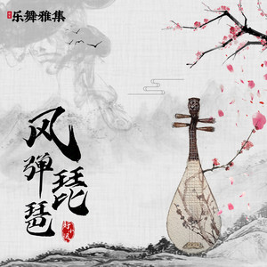风弹琵琶 (DJ安筱冷版)封面