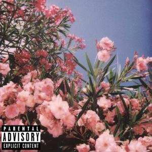 With Love, From Mars (Explicit)