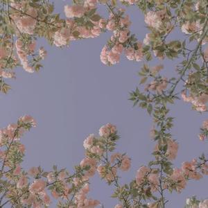 未知 - 有时候