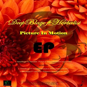 Picture In Motion(feat. Herbalist) (Soulful Mix)