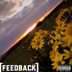 Feedback (Explicit)