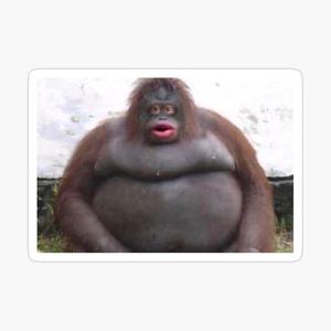 Funky Monkeys (Explicit)