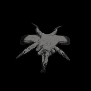 AGE OF EMPIRICAL EVIDENCE (Explicit)