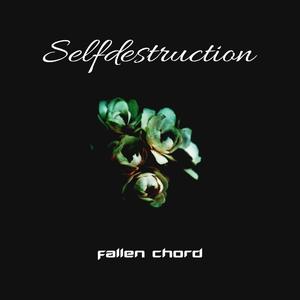 Selfdestruction (Explicit)