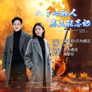 入了心的人怎么能忘记 (合唱版)