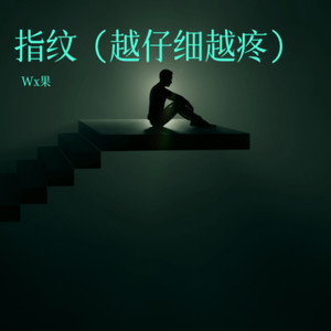 指纹-On
